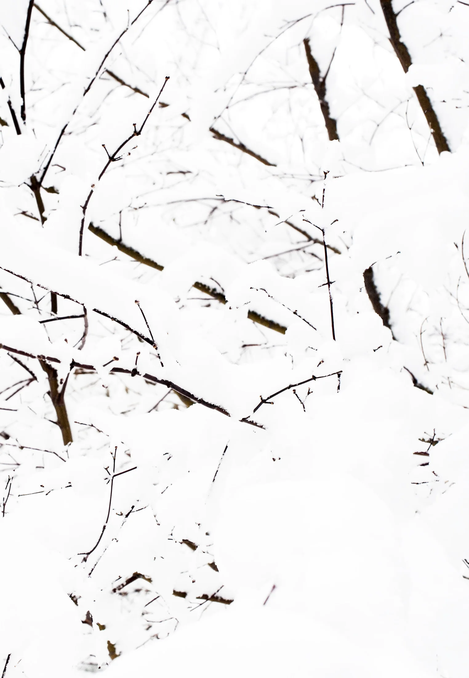 DSC_5679-2.jpg