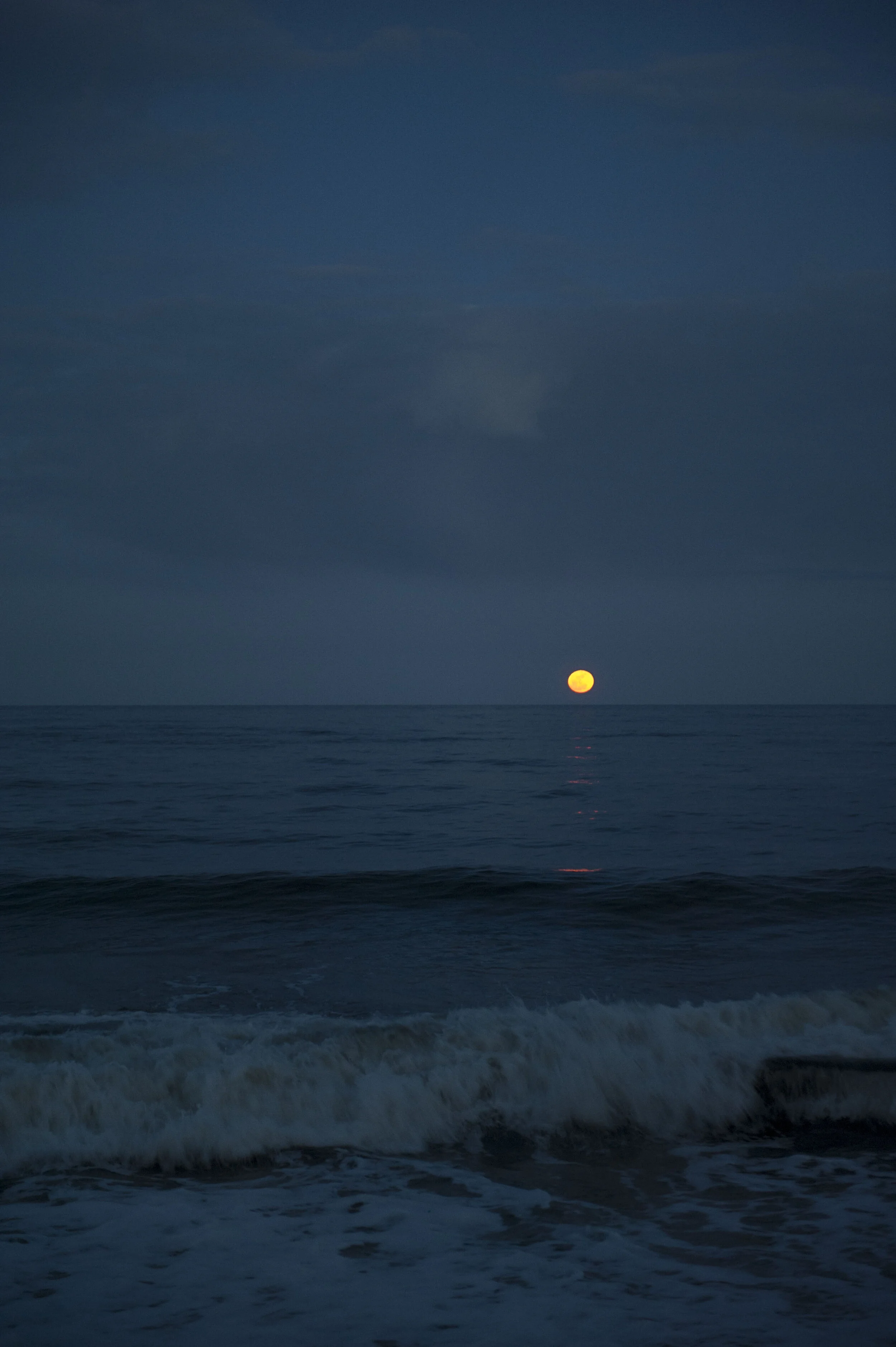 20110319_0961_1.jpg