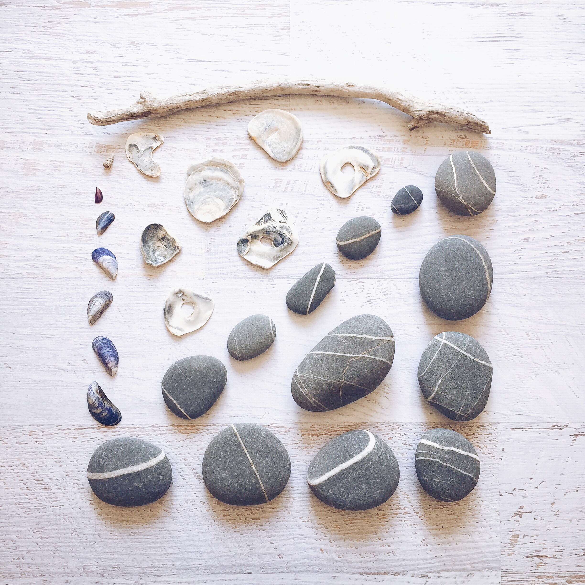 Pebbles from Westward Ho! and Sandymouth beach