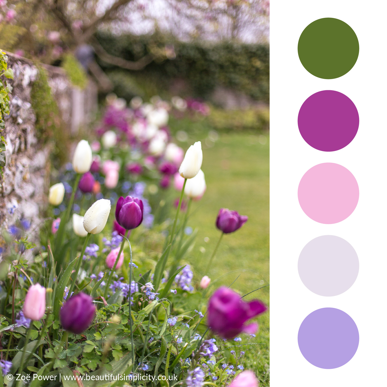 Tulip pinks and purples colour palette | Monk's House, East Sussex, UK