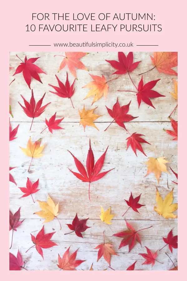 For the love of autumn: 10 favourite leafy pursuits.jpg