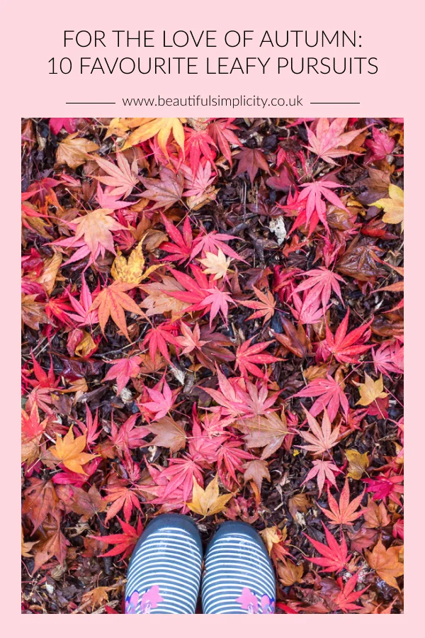 For the love of autumn: 10 favourite leafy pursuits.jpg