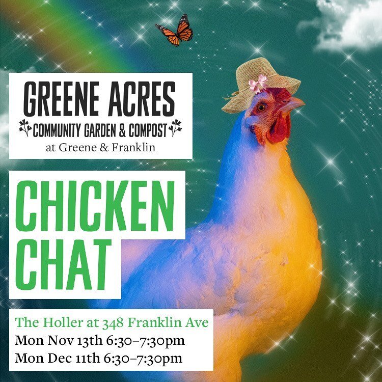 Join us for Chicken Chat tomorrow Monday November 13th at 6:30-7:30pm at The Holler @thehollernyc at 348 Franklin Avenue. 

In our upcoming meetings we will be focusing on winterization &amp; best strategies to keep the chickens warm &amp; cozy durin