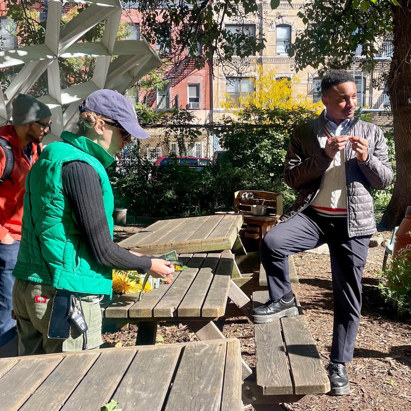 Thanks to @nyrp for coordinating council member @cmchiosse visit today to @greeneacrescommunitygarden! Here he is sampling some of our tart crab apples. 🍎 We are looking forward to partnering together for future street tree bed clean up projects in 