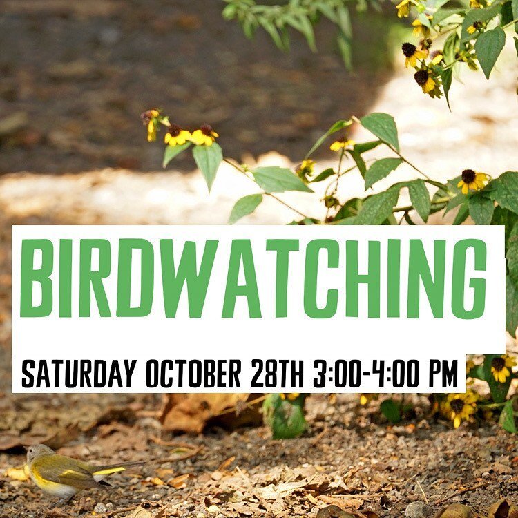 Rescheduled a third time due to rain! Join us Saturday the 28th 3-4pm for a free introduction to birdwatching session hosted by Suzan. Learn how to observe birds in their natural habitat as a hobby guided by Donna, a local longtime birdwatcher. We wi