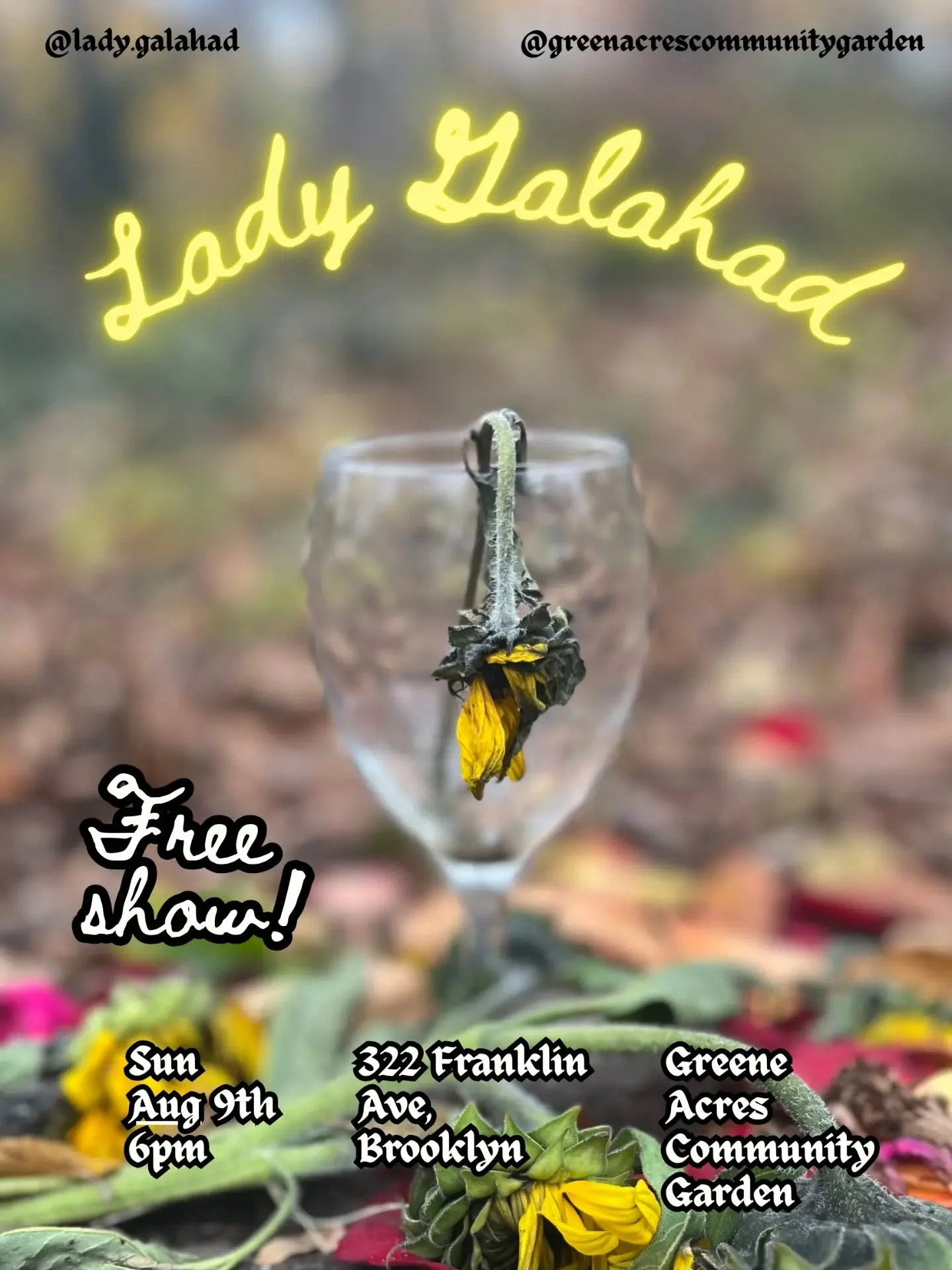 TONIGHT! Free concert with @lady.galahad