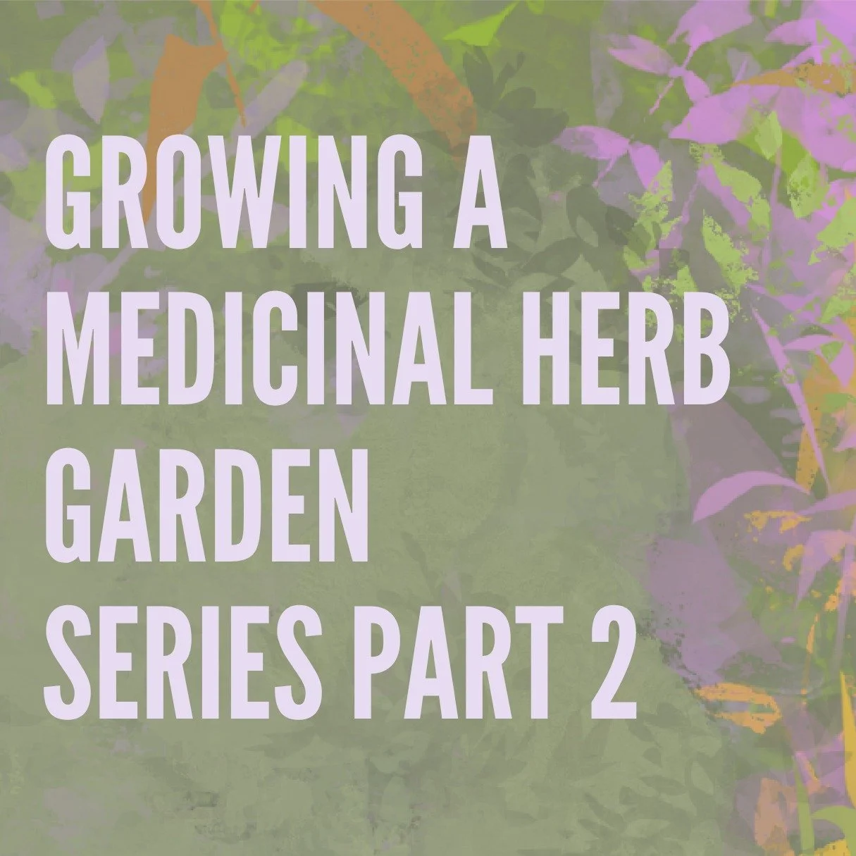And we're on for the second session of the Herbal Workshop Series!

Join us and @Twinjude while we learn about adaptogens and share a pot of tea while we talk about how these herbs work on the body. And make natural bug spray to take home.

📅 Saturd
