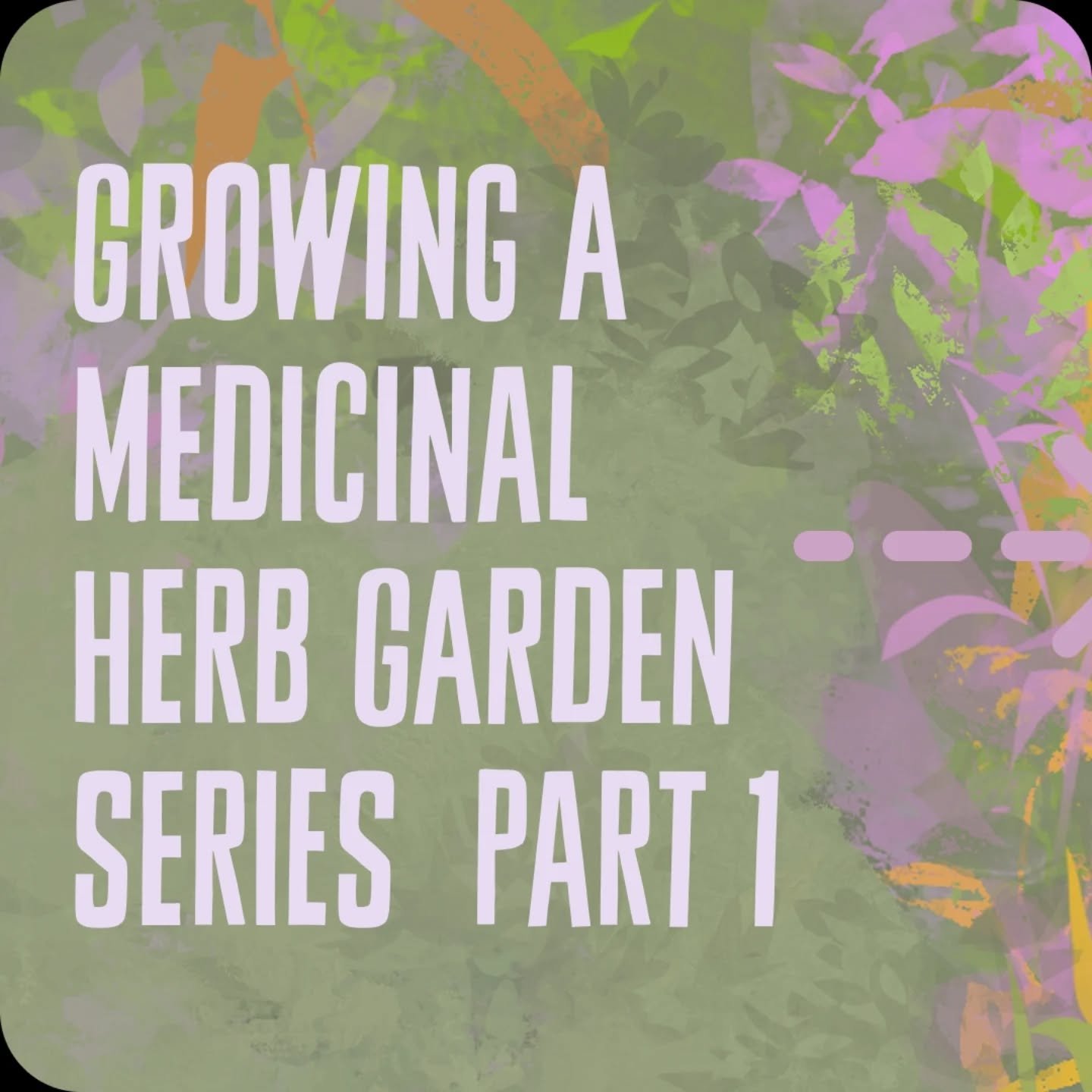 We are kicking off this 2026 Herbal Workshop Series celebrating the summer solstice! Join us for a seedswap and seeds stories gathering where we'll reflect on last season's lessons, share seeds, and introduce the plants we'll be in relationship this 