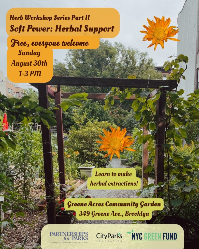 Herba Workshop Part II is finally happening on Sunday, August 30, 1 to 3 pm, under the guidance of Herbalist @fuzzydewdrop!

This one is about adaptogenic and heart-centered extractions. Hands on, so you will be making glycerin tinctures and oxymels 