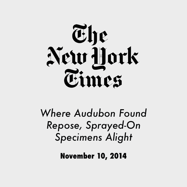 Where Audubon Found Repose, Sprayed-On Specimens Alight