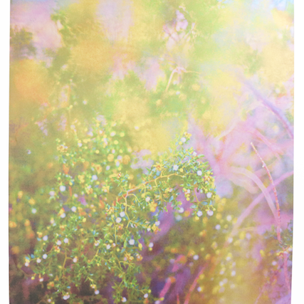 JORDAN SULLIVAN Jordan Sullivan is a writer and artist. His photographs, curatorial projects, and prose have appeared in publications such as The Paris Review, The New York Times T Magazine, The New Yorker, Italian Vogue, VI