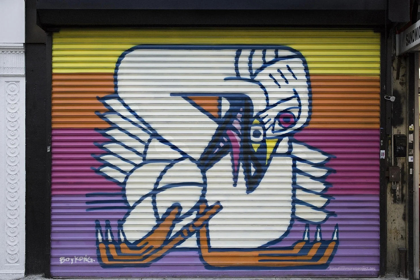 tundra_swan_mikefernandez1_0.jpg