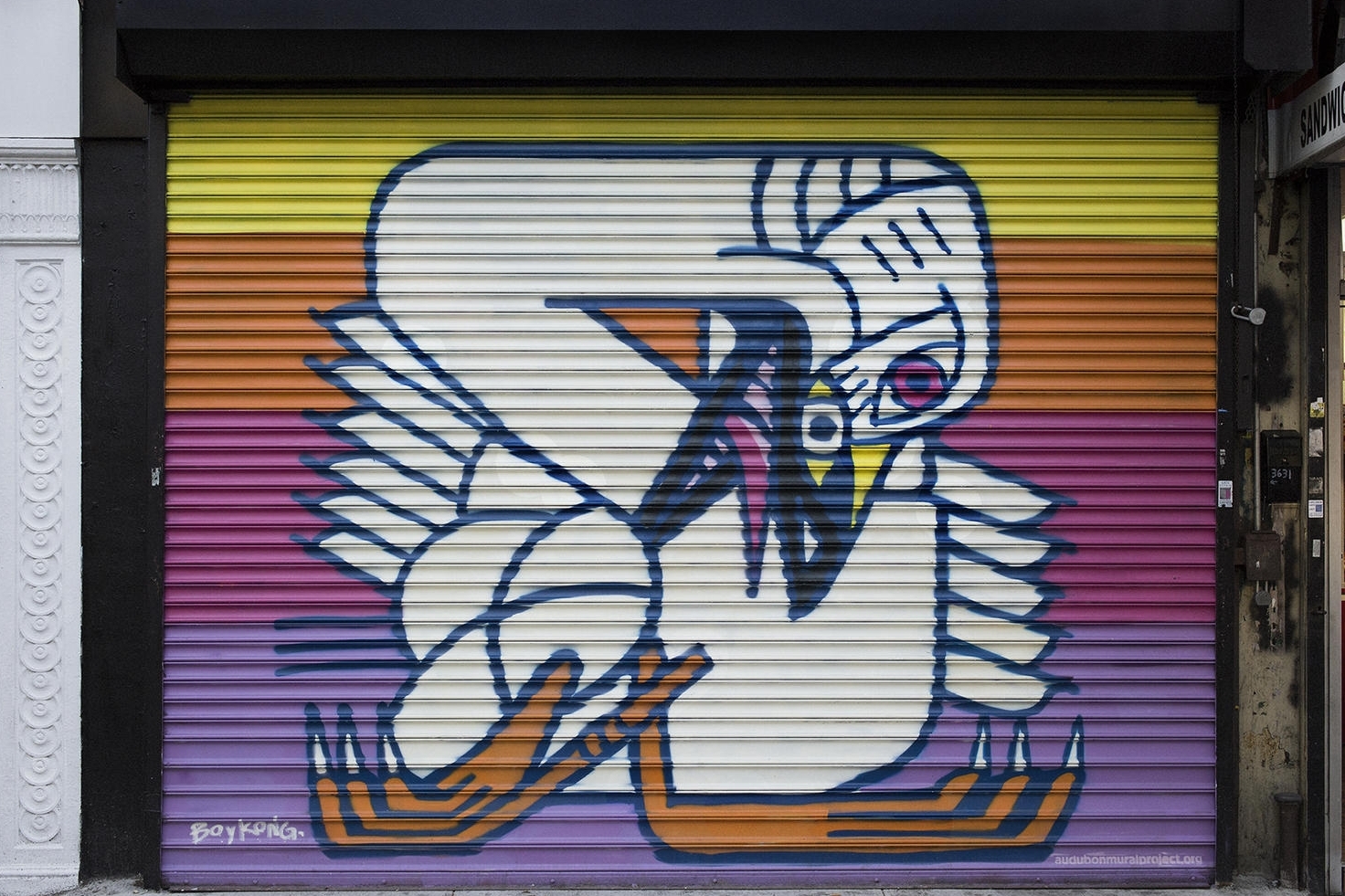 tundra_swan_mikefernandez1_0.jpg