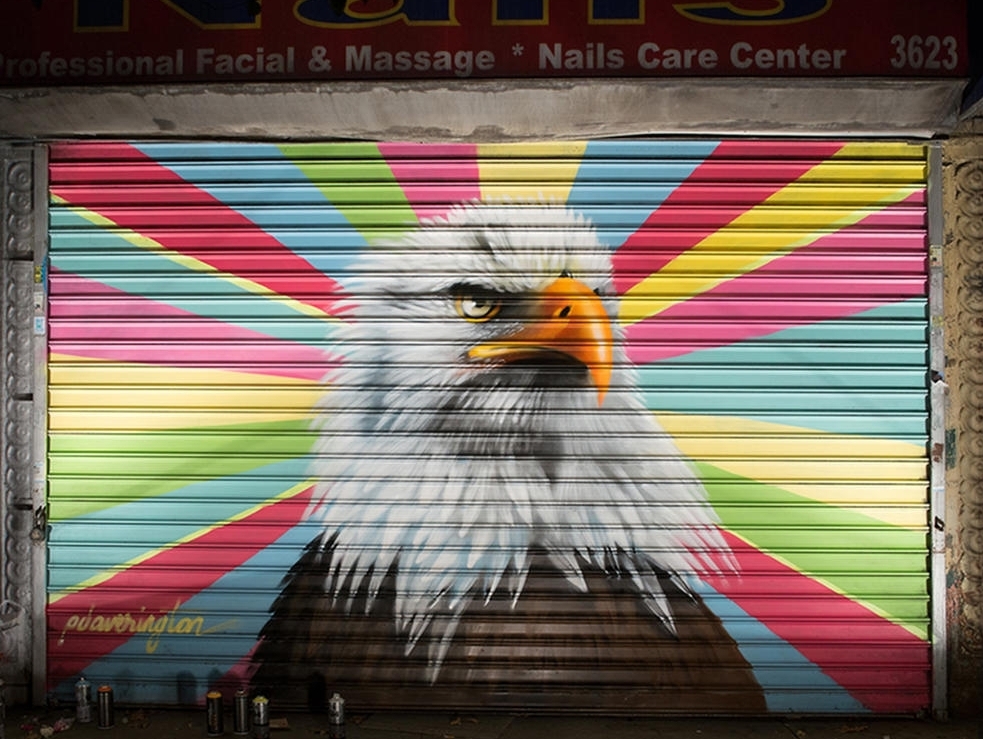 Bald Eagle by Peter Daverington