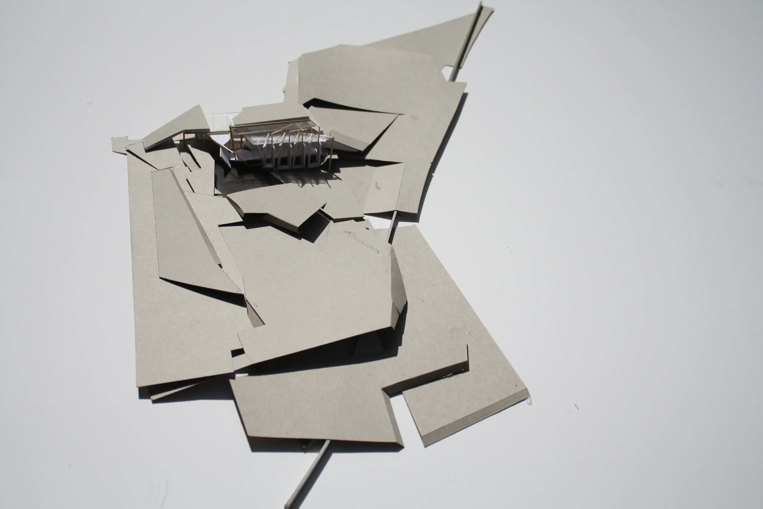 IMG_2019.JPG