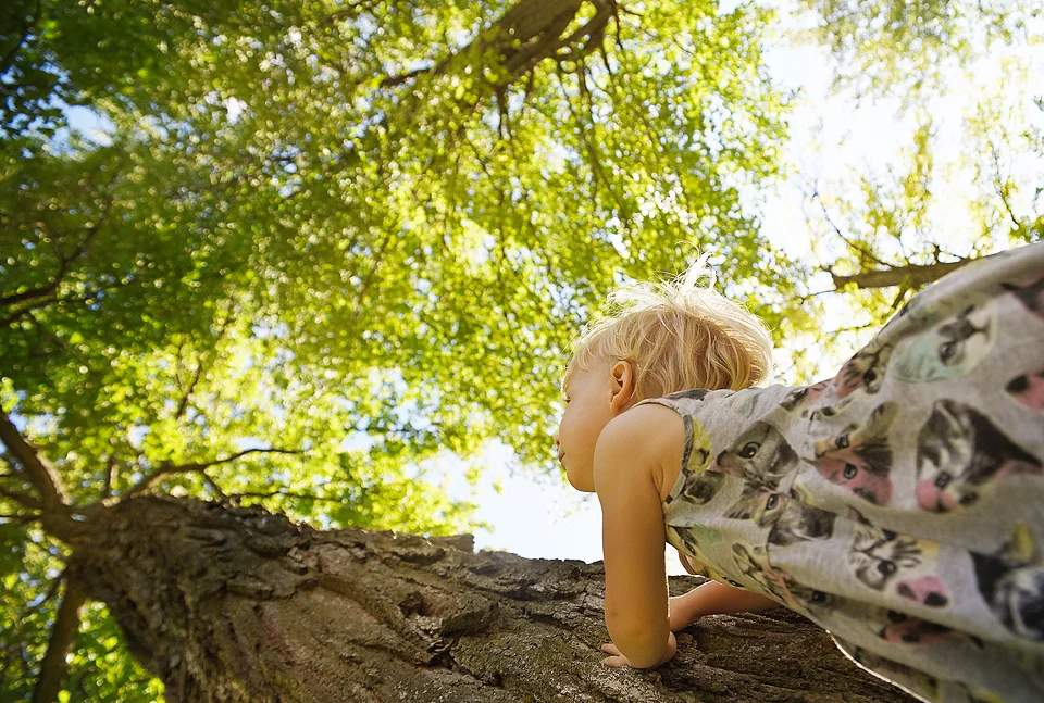 Photo: Jana Dybinski