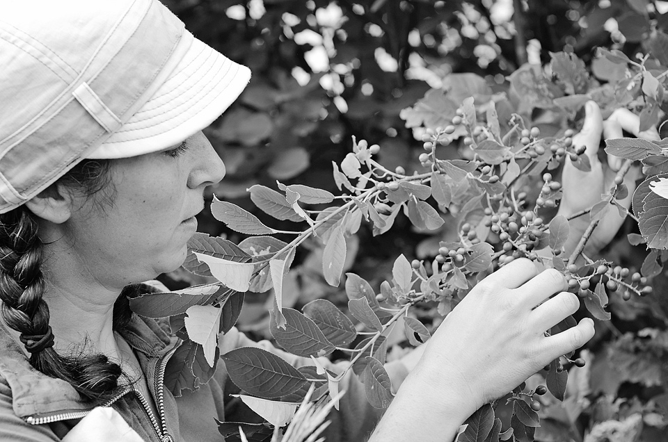 Geneviève and a chokecherry tree.