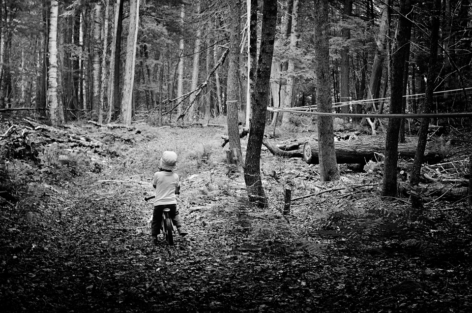 Sean and Geneviève's four year old riding his bike in the maple forest.