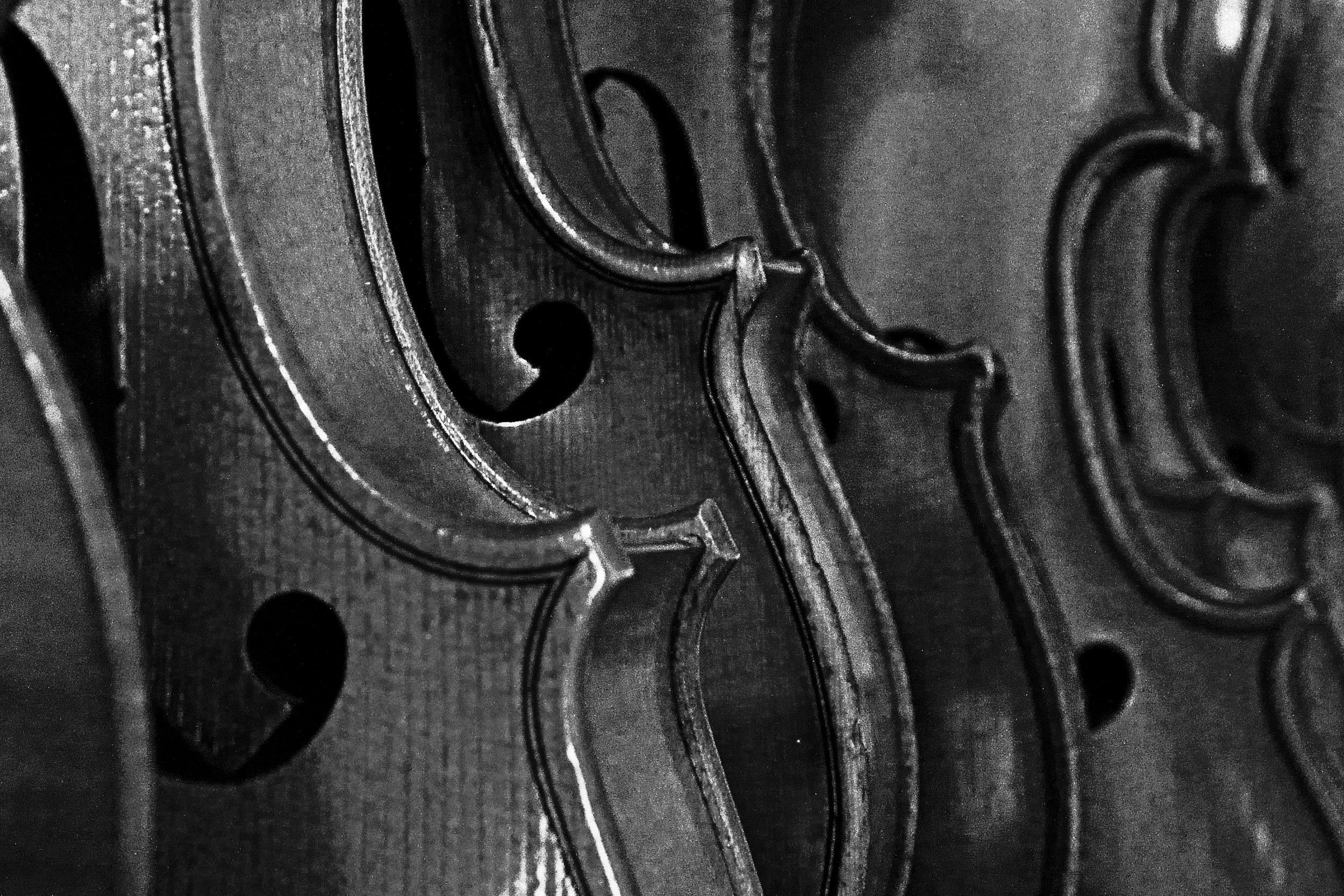 DSC_0254_1 resized_edited-2 Final_uncompressed with TG Ilford FP4.jpg