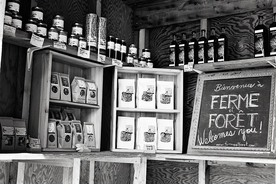DSC_0200exhibitLR.jpg