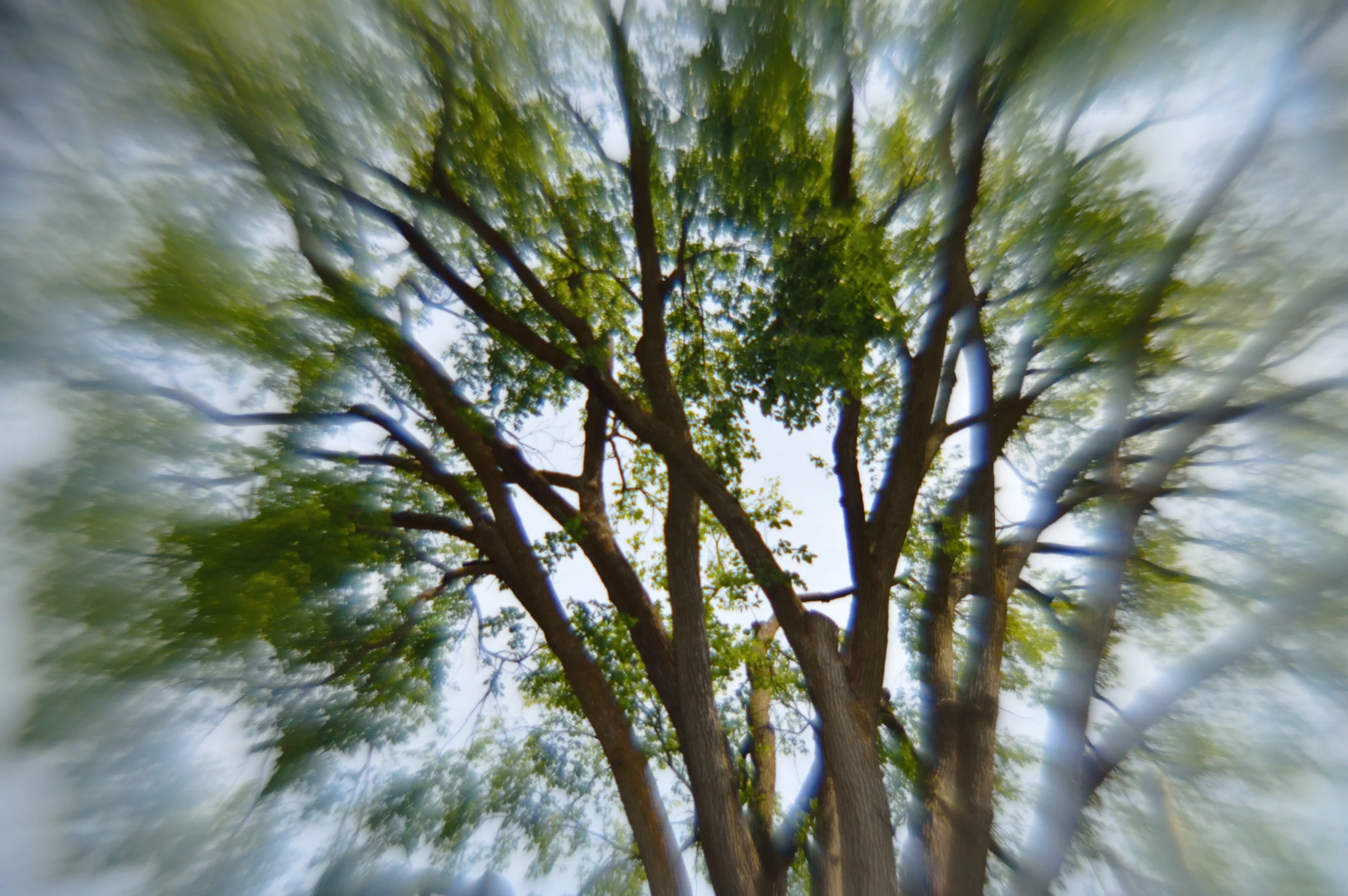 Photo:  Faris Ahmed 