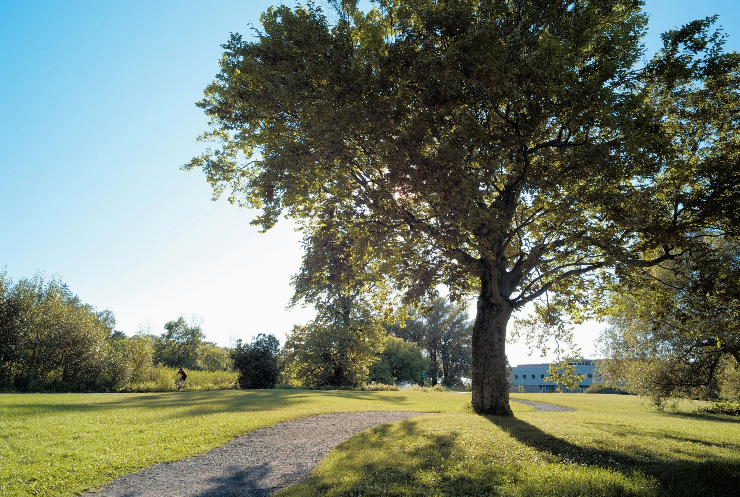 Dominion Arboretum, Central Experimental Farm