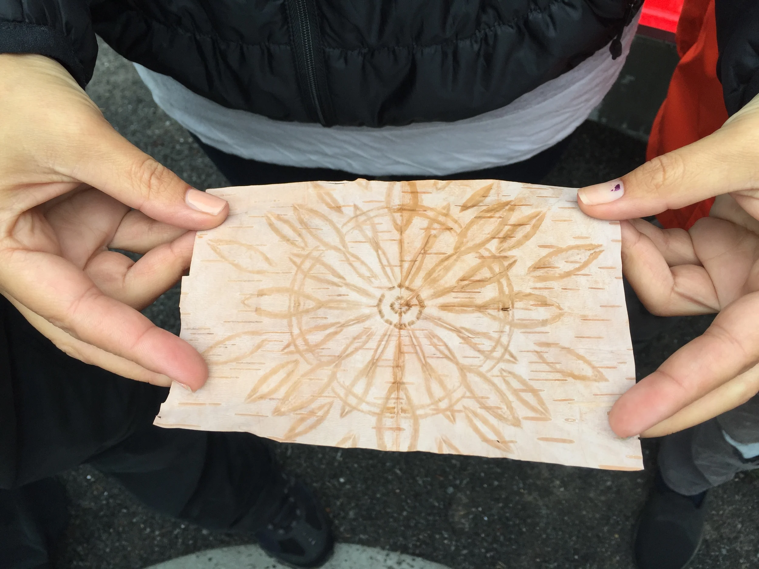 Birch bark biting 