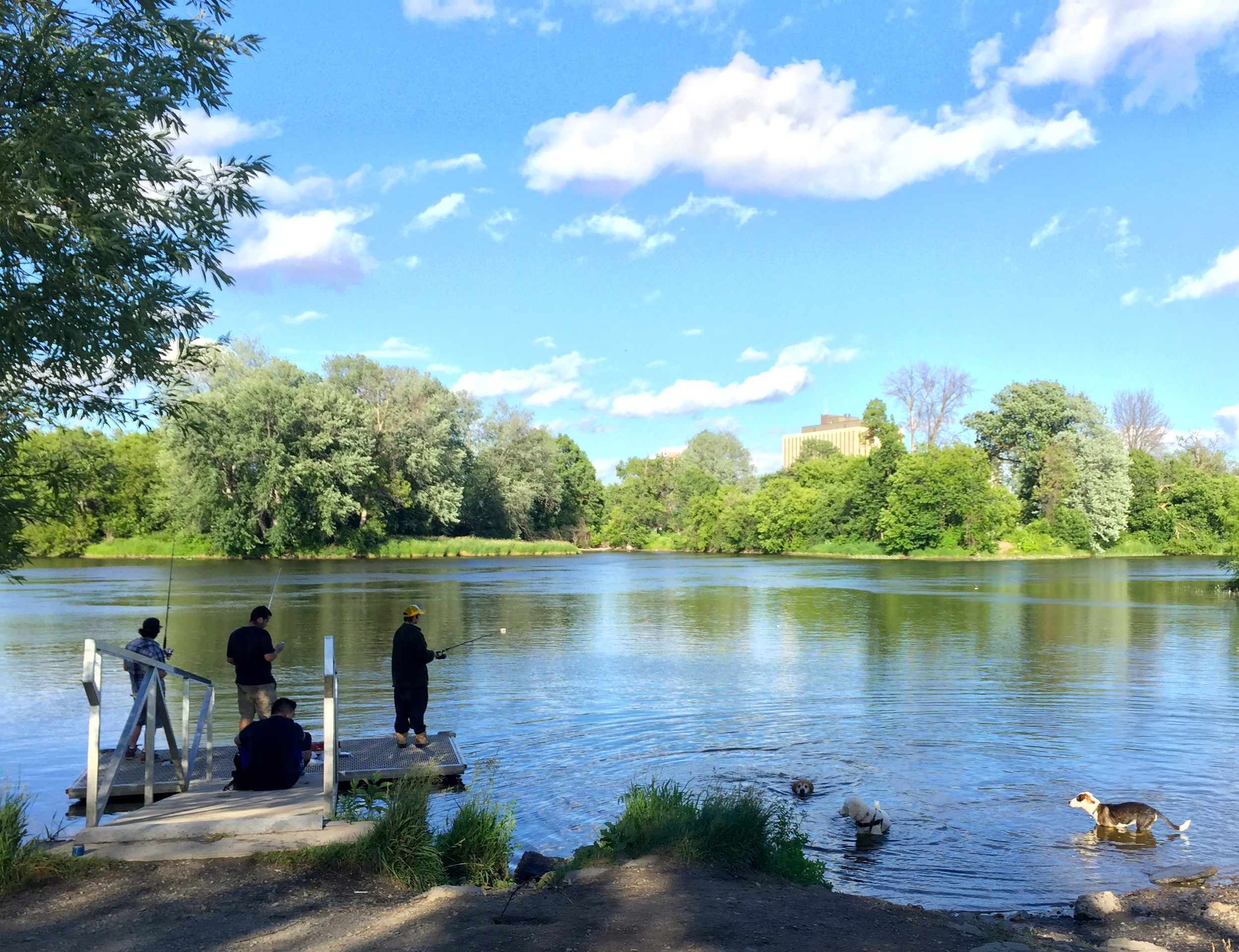 Fishing in the Rideau River at Brewer Park.