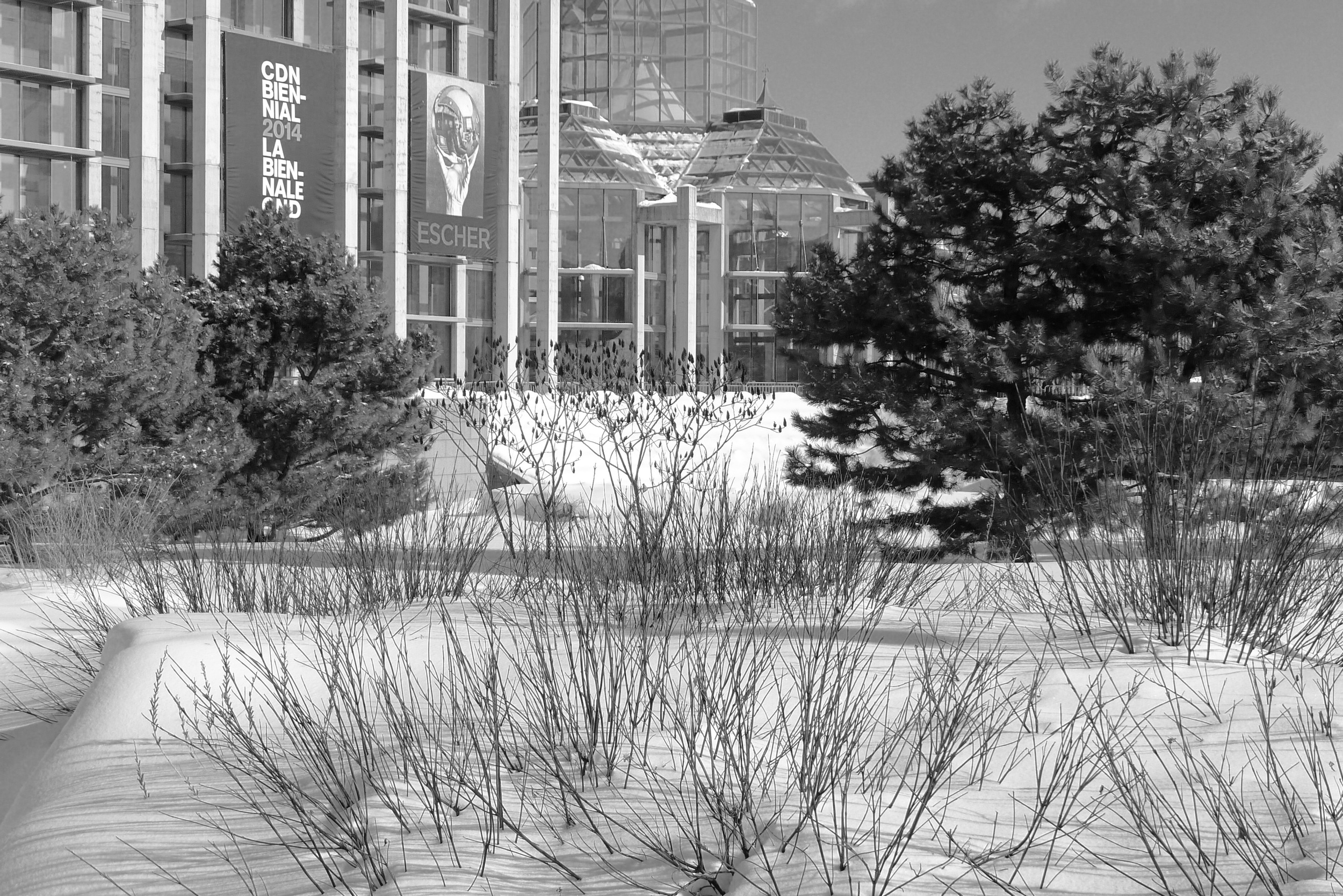 Taiga garden at the National Gallery, Ottawa