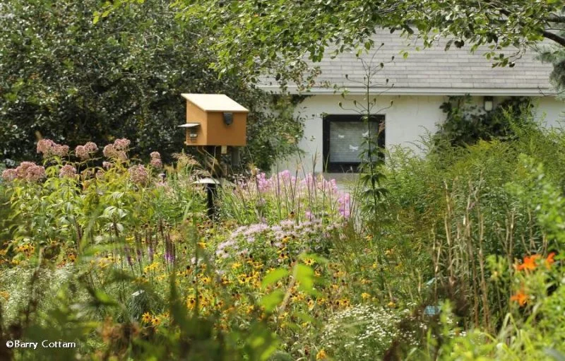 Backyard Garden of the Fletcher Wildlife Garden. Photo: Barry Cottam, courtesy of the FWG Photoblog.