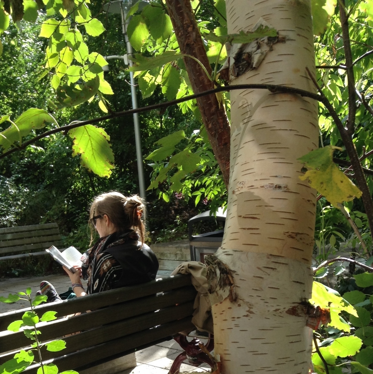 Visitor at the Husky Energy Courtyard, University of Ottawa. Photo: Renate Sander-Regier
