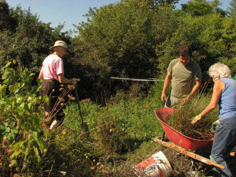 113239352.zM4Z1Z3U.Workinginthegarden.jpg