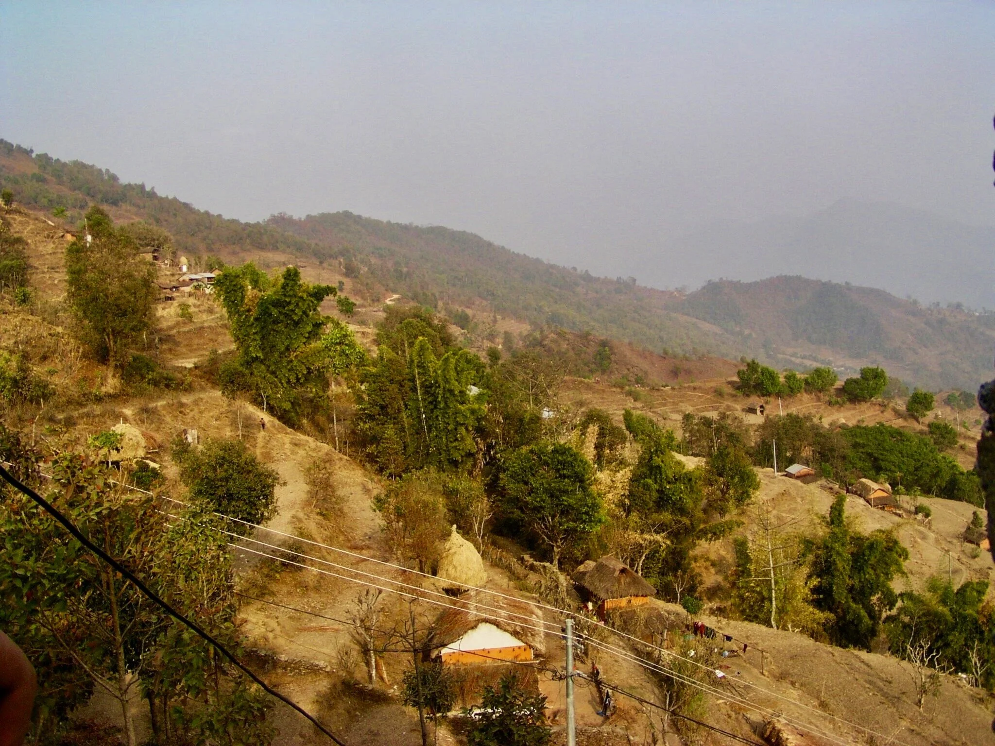 P1010054.jpg