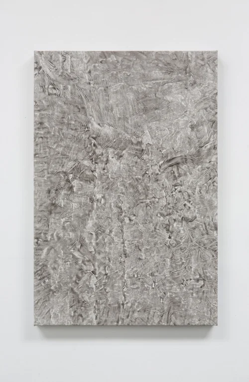 CALLUM SCHUSTER | AKIN TO SKIN 5 | 36 x 24 in | INQUIRE FOR PRICE