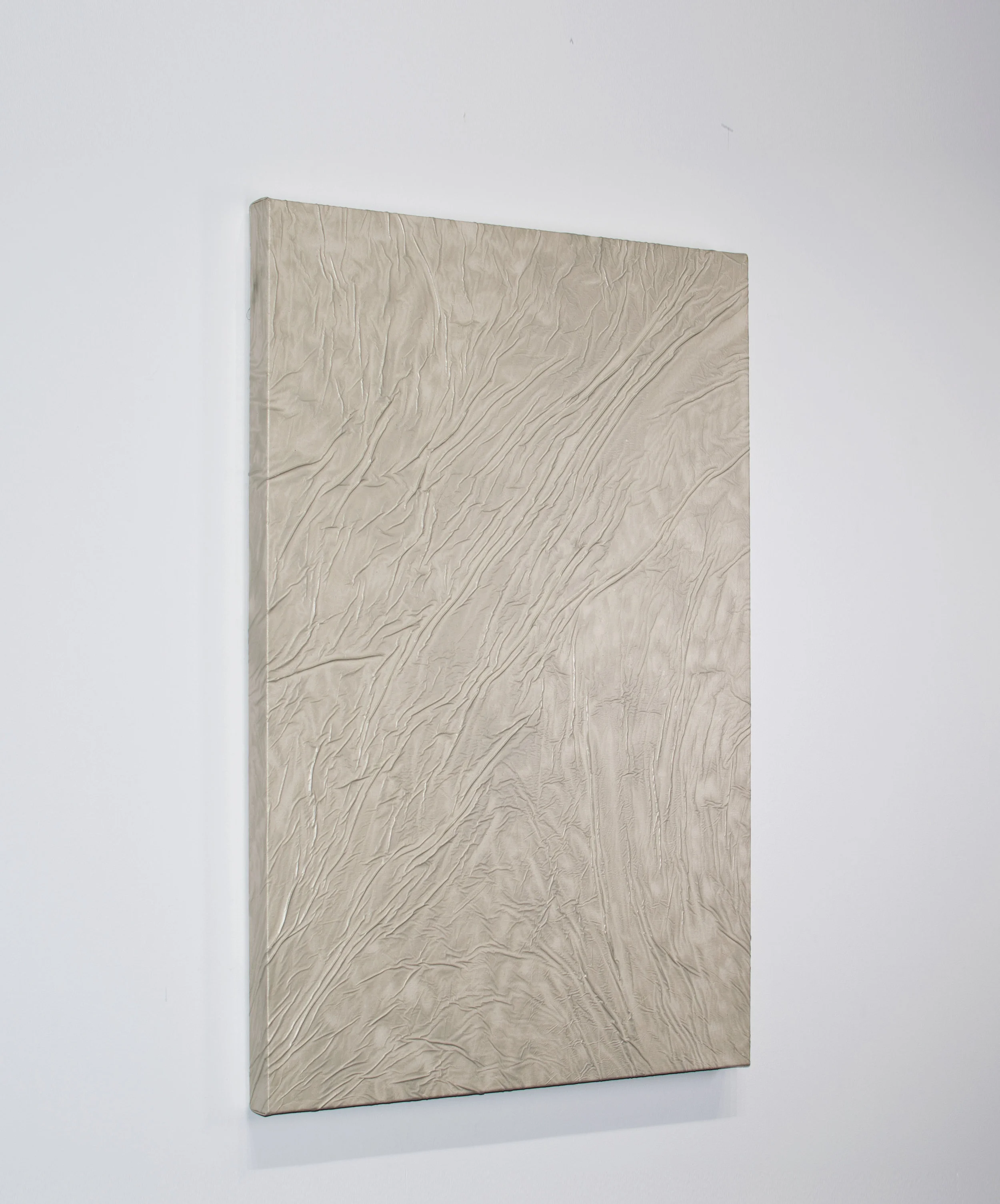 CALLUM SCHUSTER | "AKIN TO SKIN #6" | ACRYLIC, CANVAS | 36 x 24 inches | INQUIRE