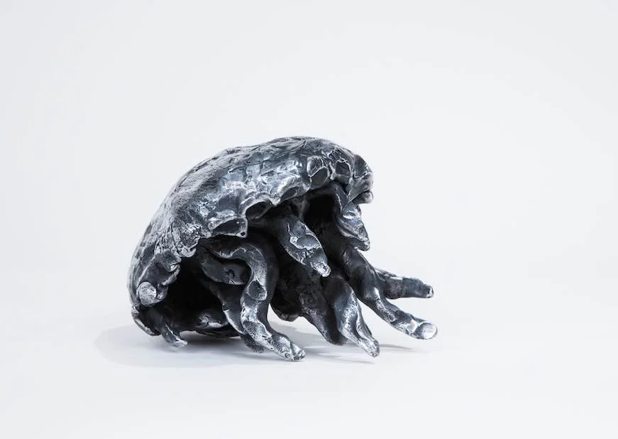 Margie Kelk-Transcendence-Aluminum2.jpg