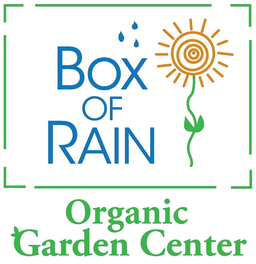 boxofrain.png
