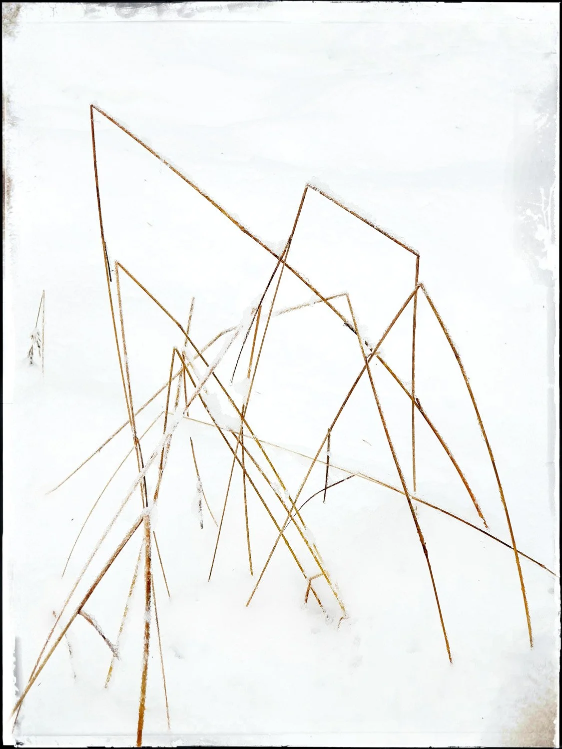 80