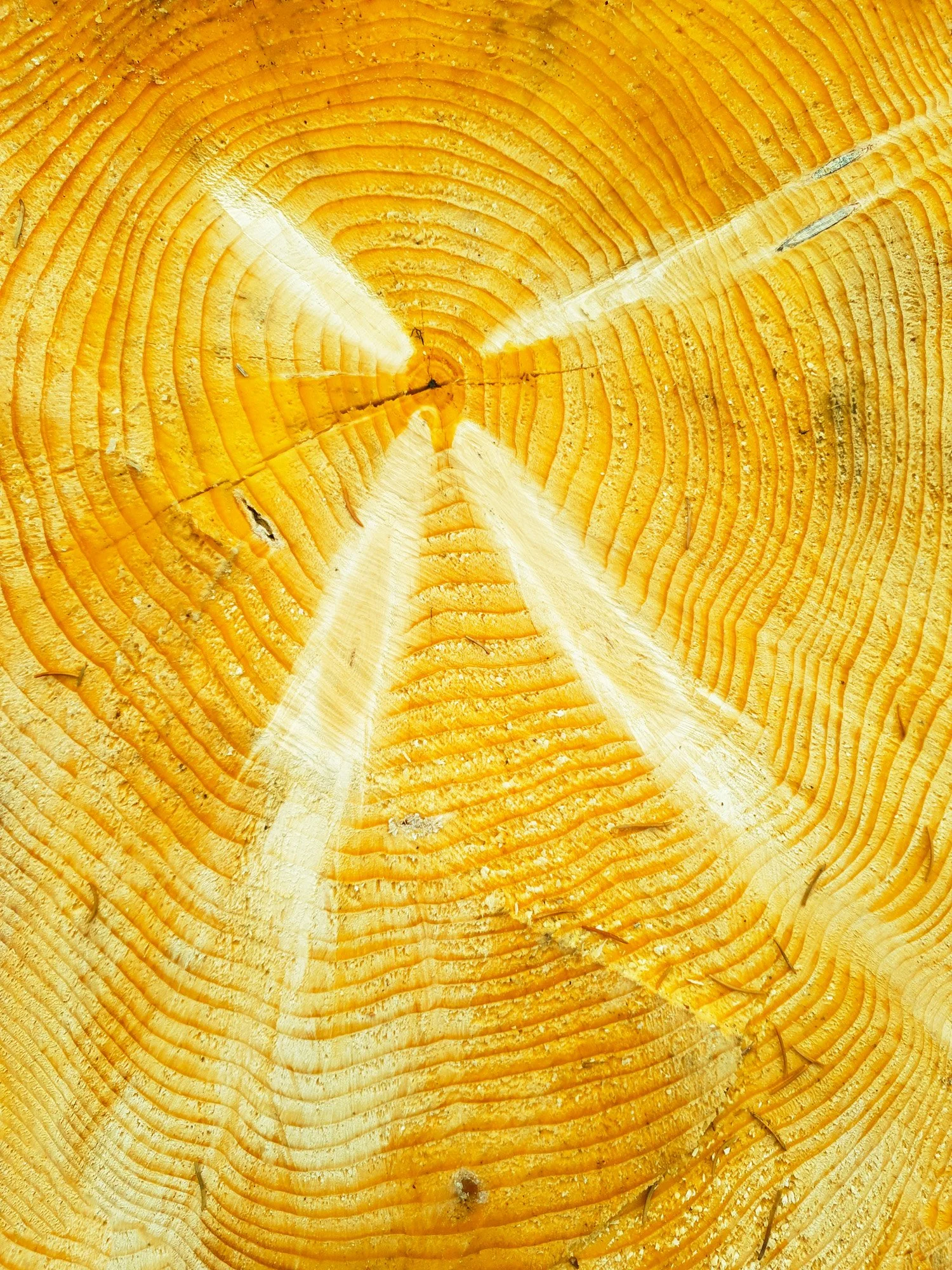 72