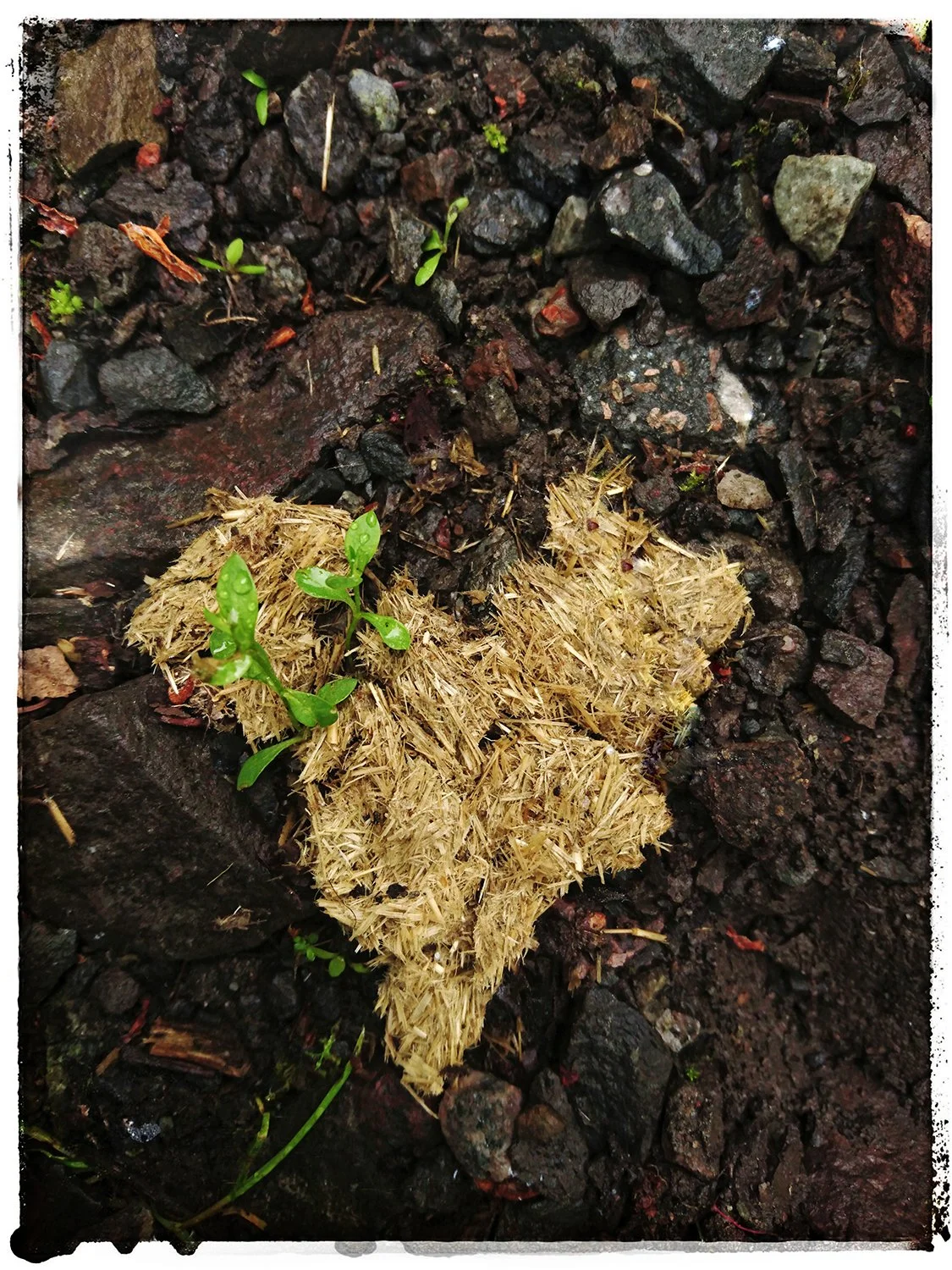 102