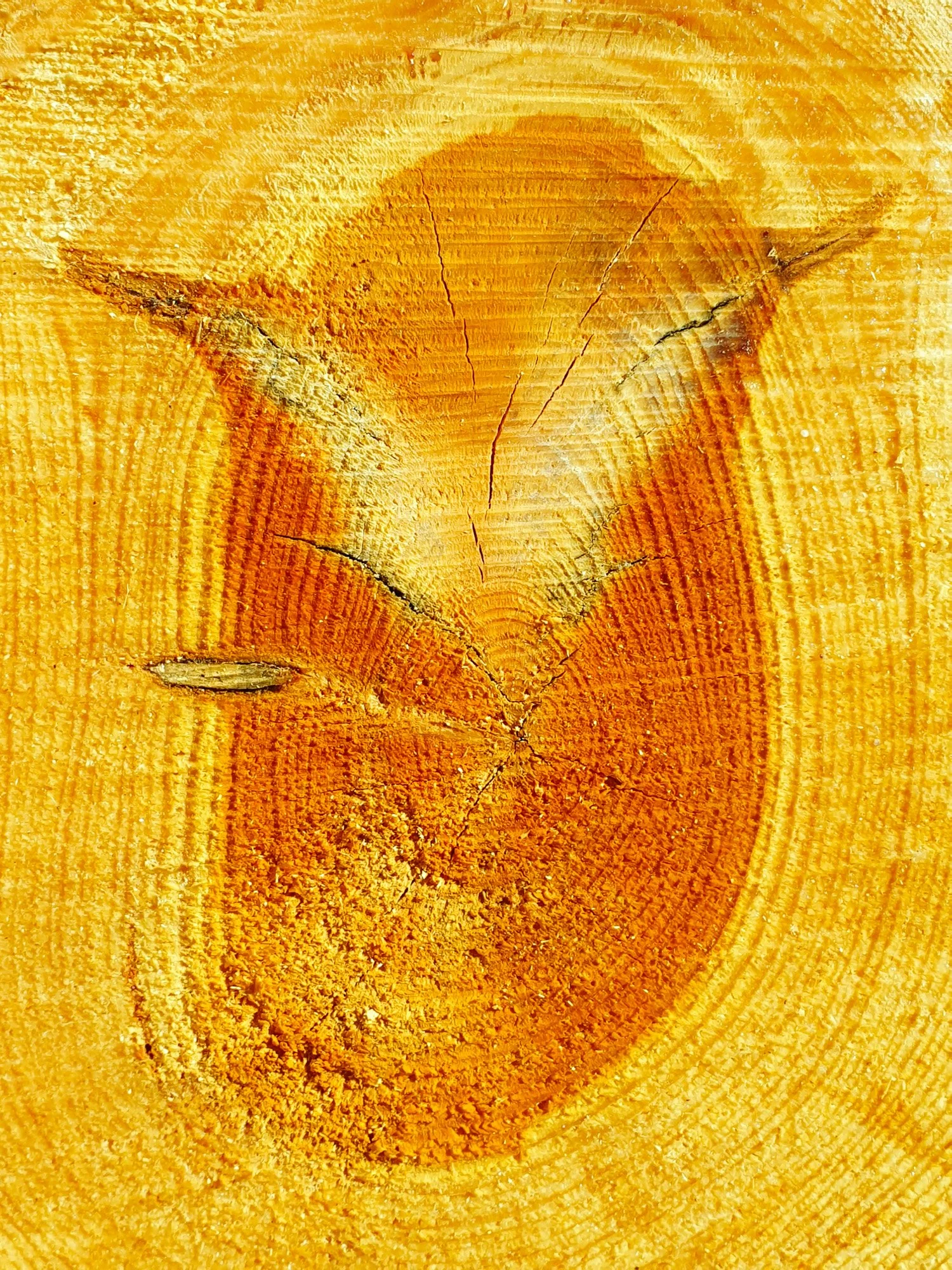 53