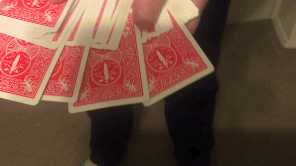 IMG_4580.gif