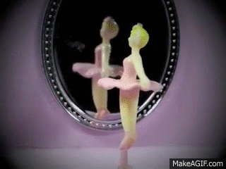 Y0S8ip.gif