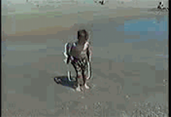 giphy-(1).gif