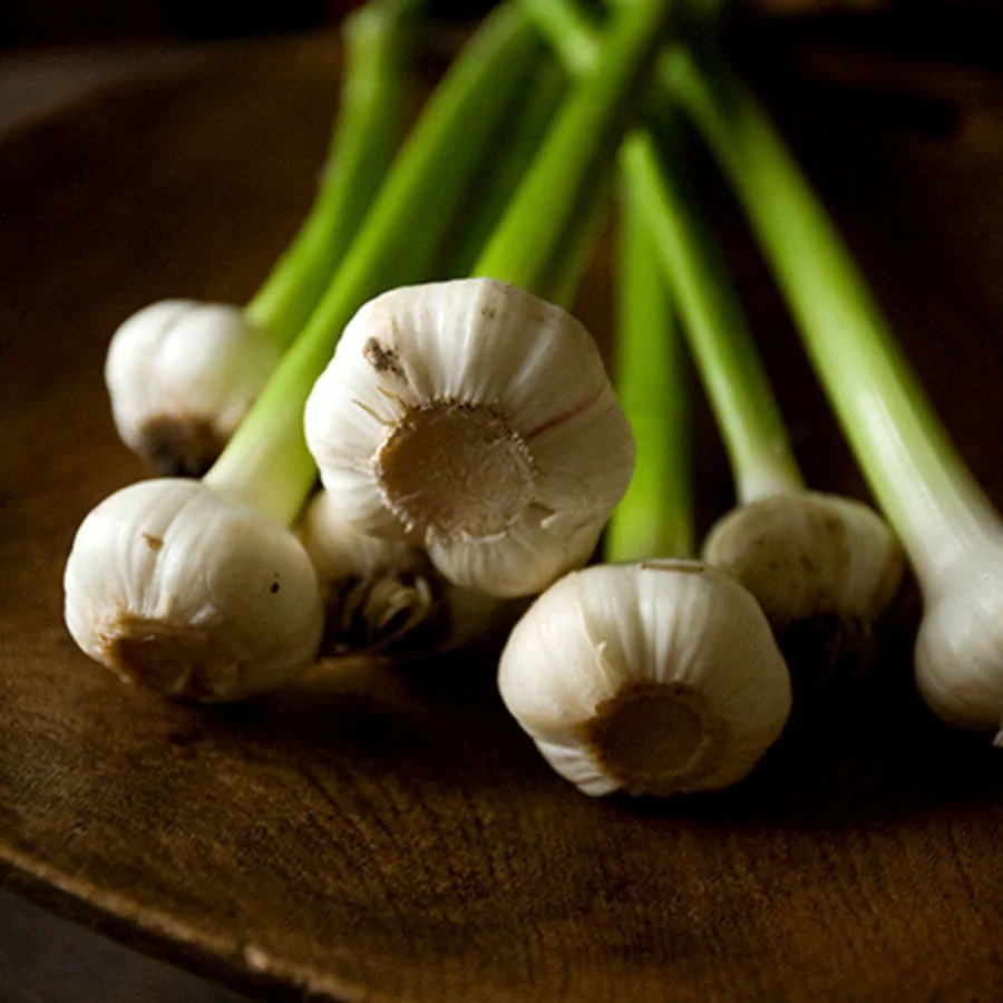 Garlic - You either love it, or hate it!