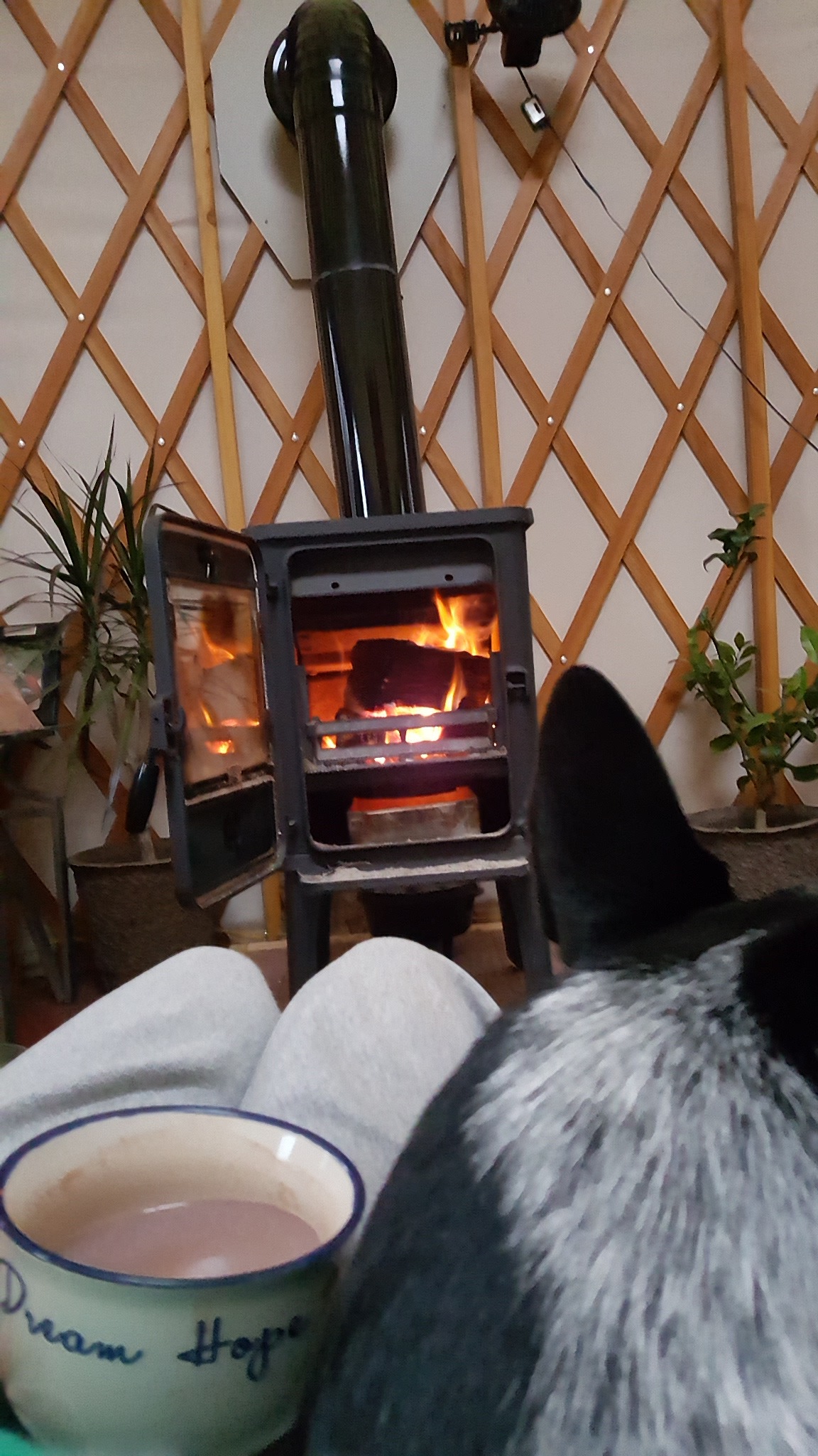 20161115_145554.jpg