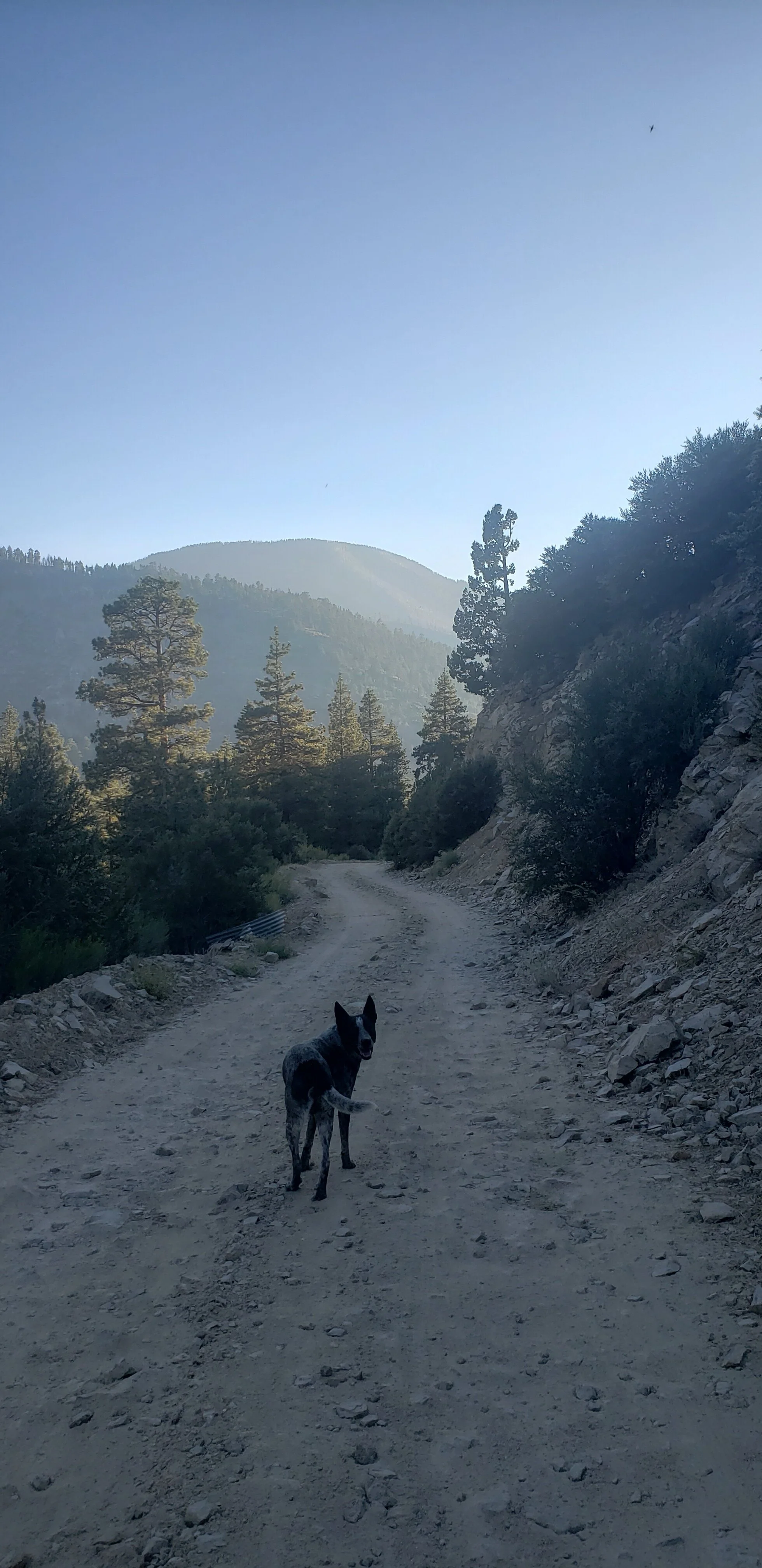 Don't get too high on the highs, and don't get too low on the lows.