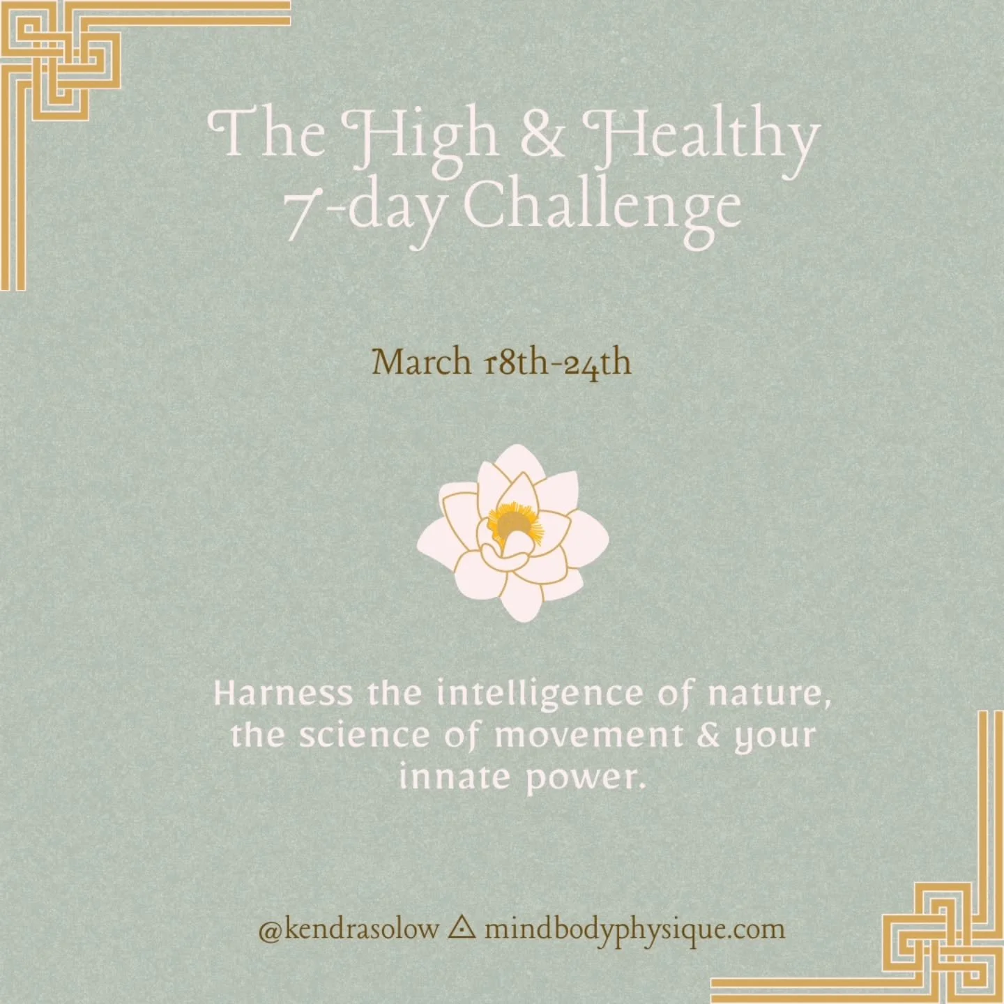 At 18 years old I was bulimic, on anti-depressants and battling an addiction to exercise. I was also over weight, &amp; at rock bottom with my self-esteem. 

Then Mary jane came into my life and into my workouts out of no where. Like God gave me the 