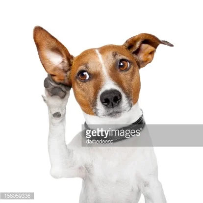 Dog Training for Hearing Impaired Supported with ASL