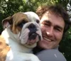 RomanBulldog.jpg